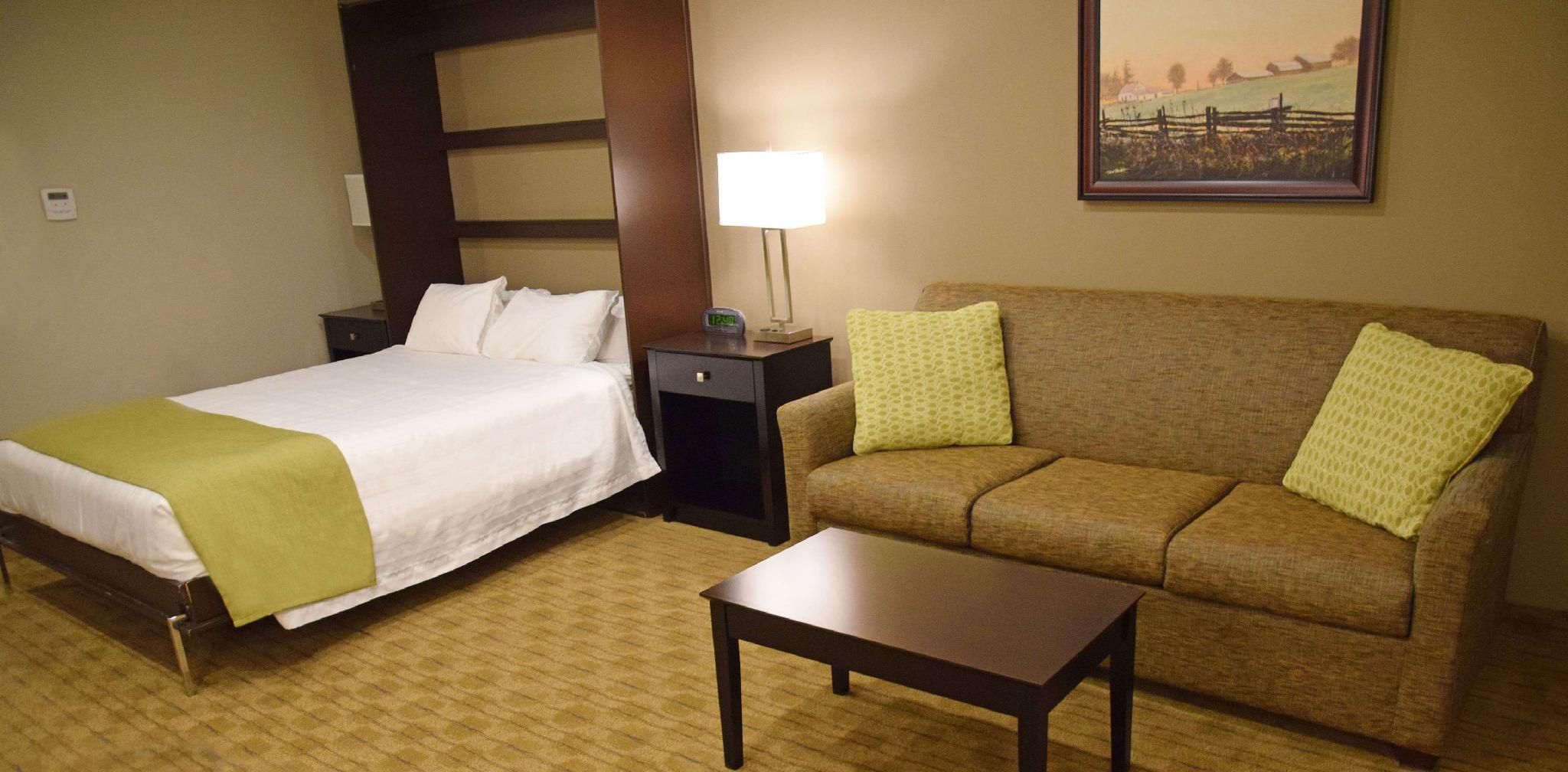 1 Queen Bed, Non-smoking, Queen Murphy Bed Only, Sofabed, High Speed Internet Access, Mini Fridge, M