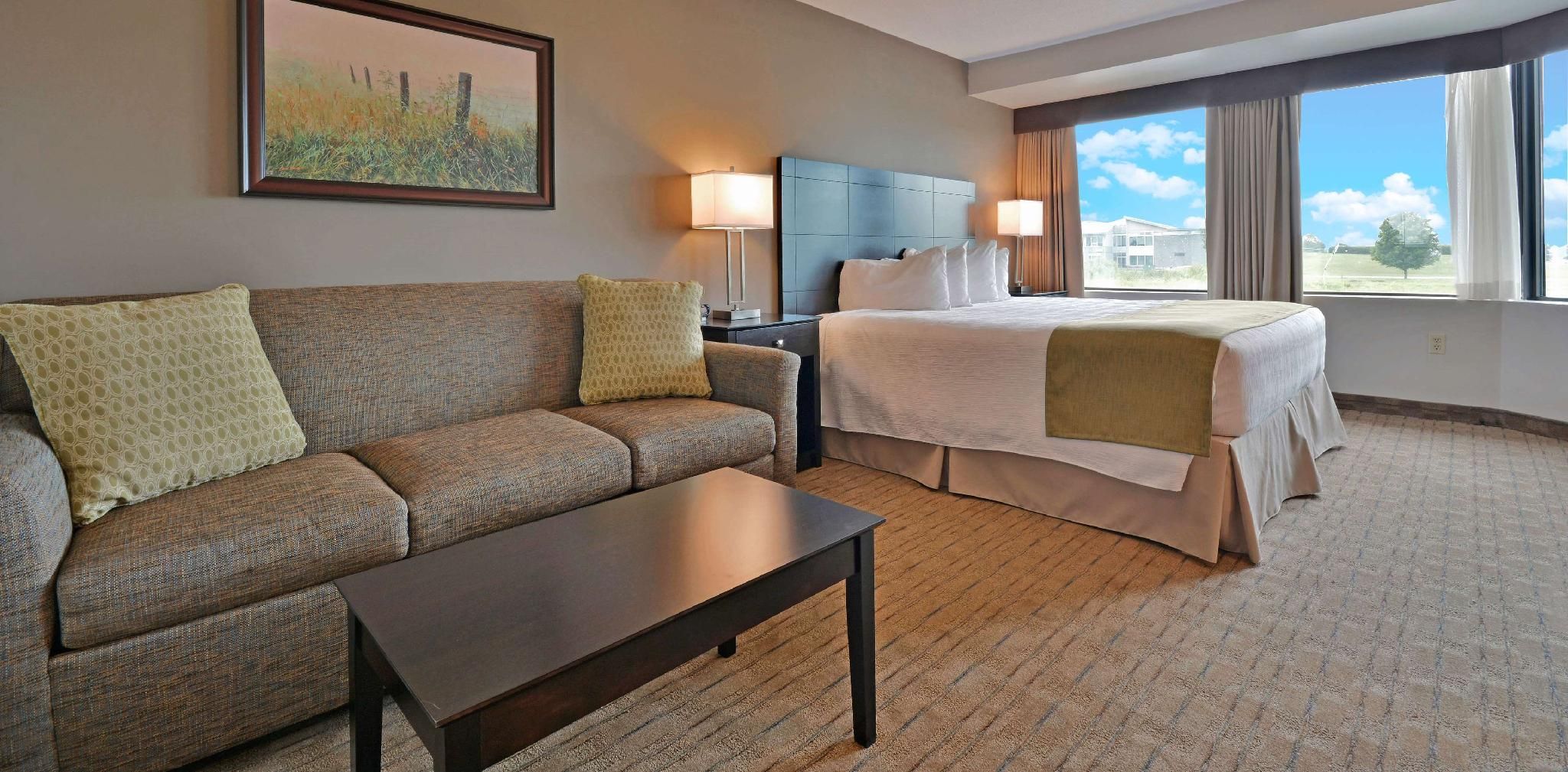1 King Bed, Nonsmoking, Executive Room, Sofabed, Bathrobe, Mini Fridge, Microwave, Full Breakfast