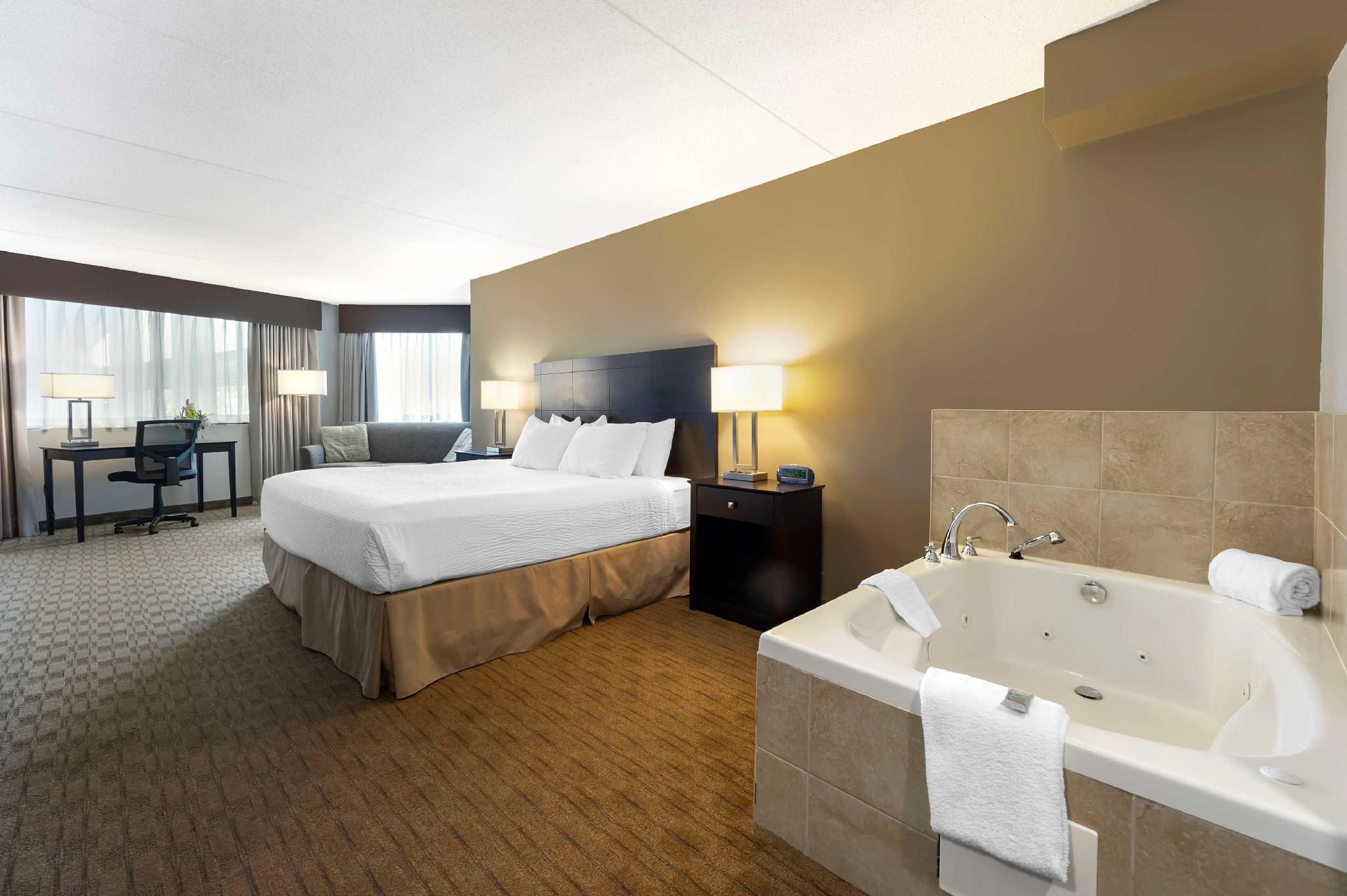 1 King Bed, Nonsmoking, Sofabed, Pool View, Jetted Tub