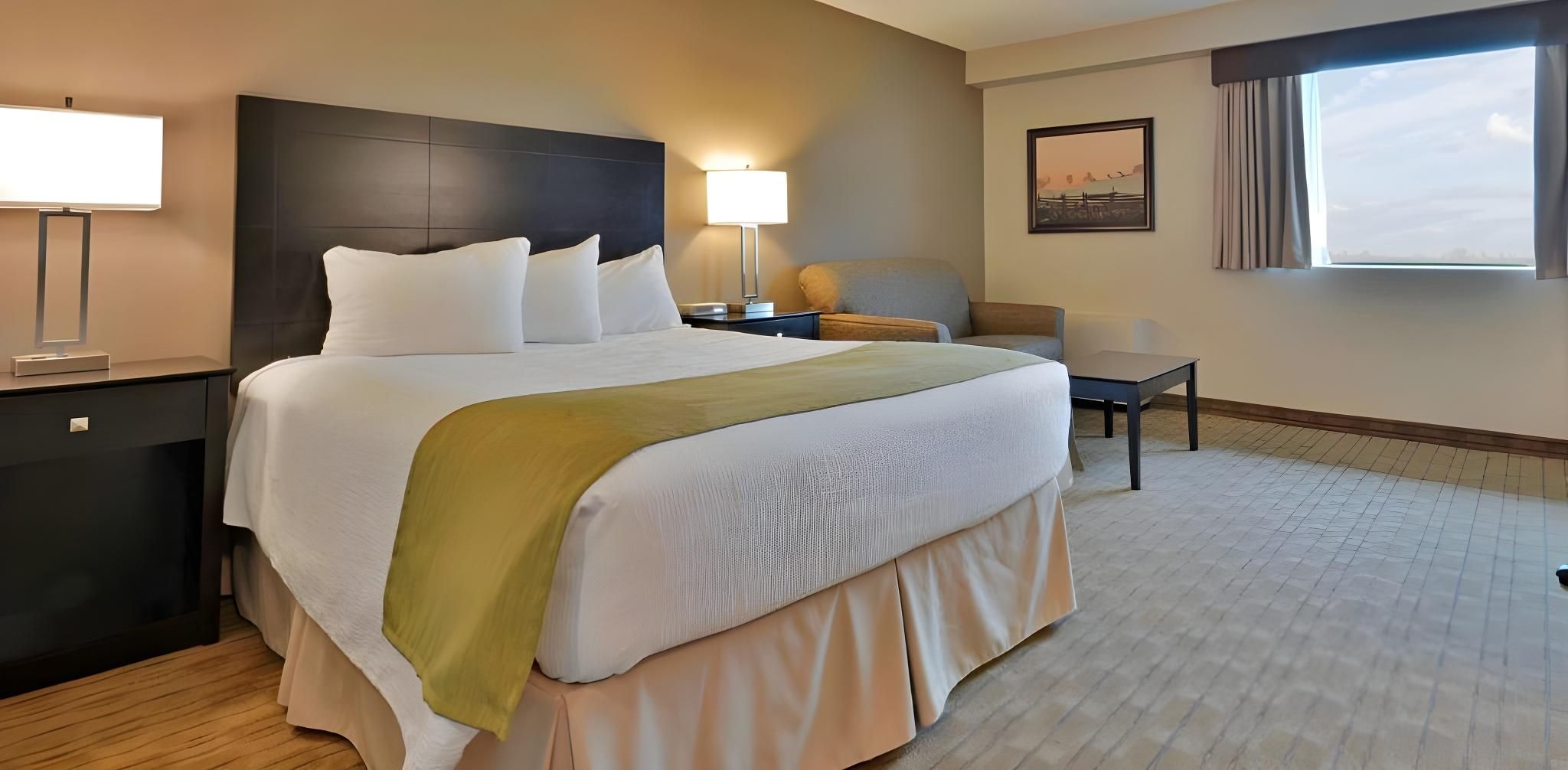1 Queen Bed, Non-smoking, Gas Fireplace, Sofabed, High Speed Internet Access, Mini Fridge, Microwave