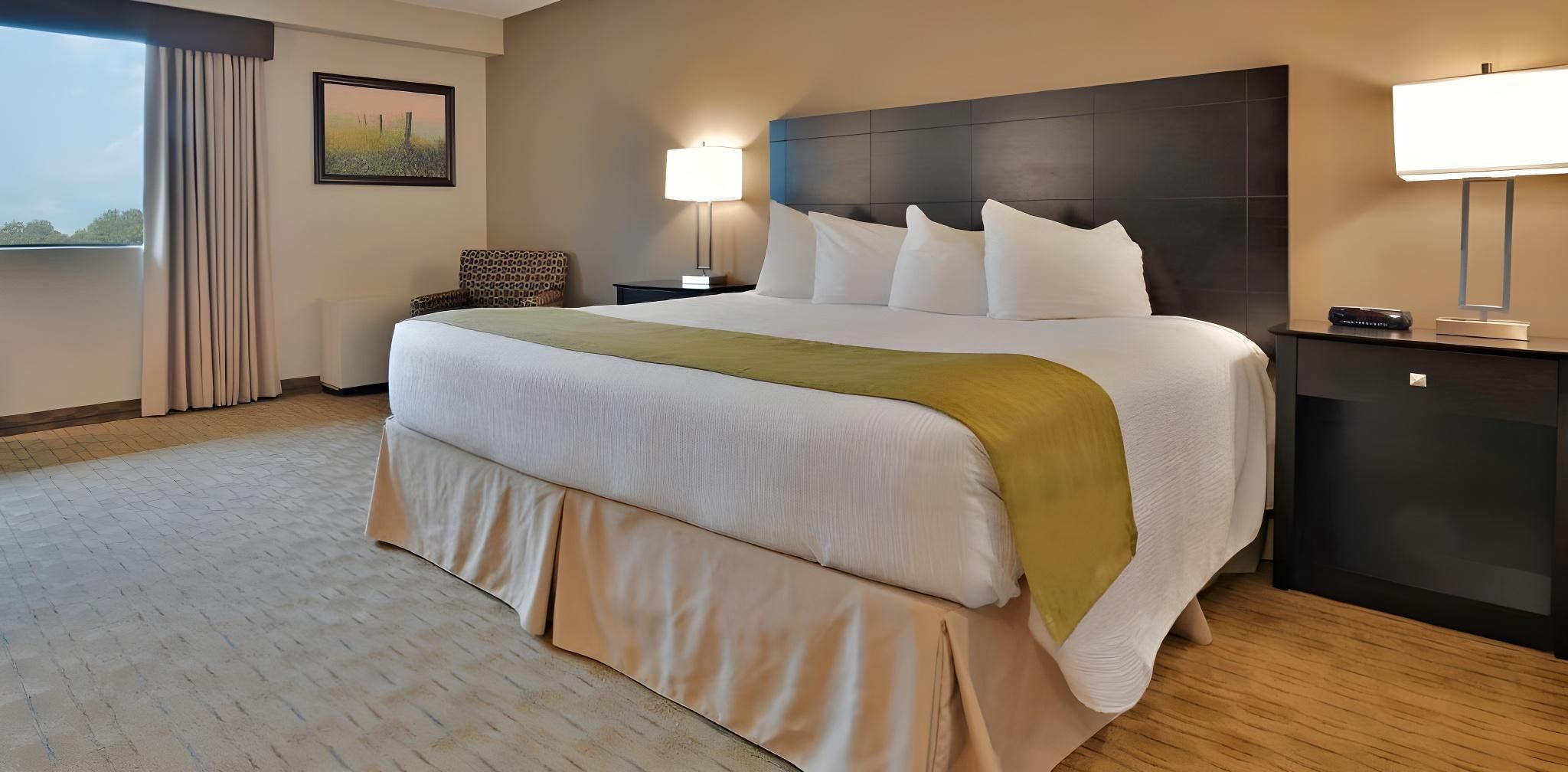 1 King Bed, Nonsmoking, Executive Room, Sofabed, Bathrobe, Mini Fridge, Microwave, Full Breakfast