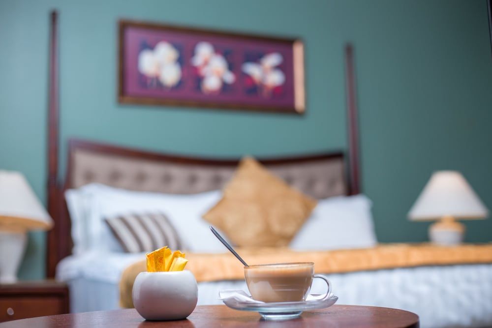 Regency Park Hotel Suite 4