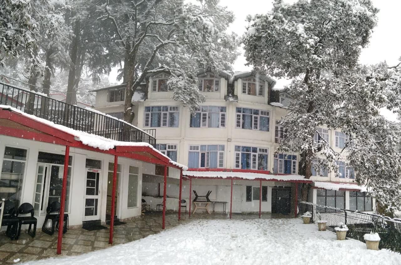 undefined Hotel Pearl 4