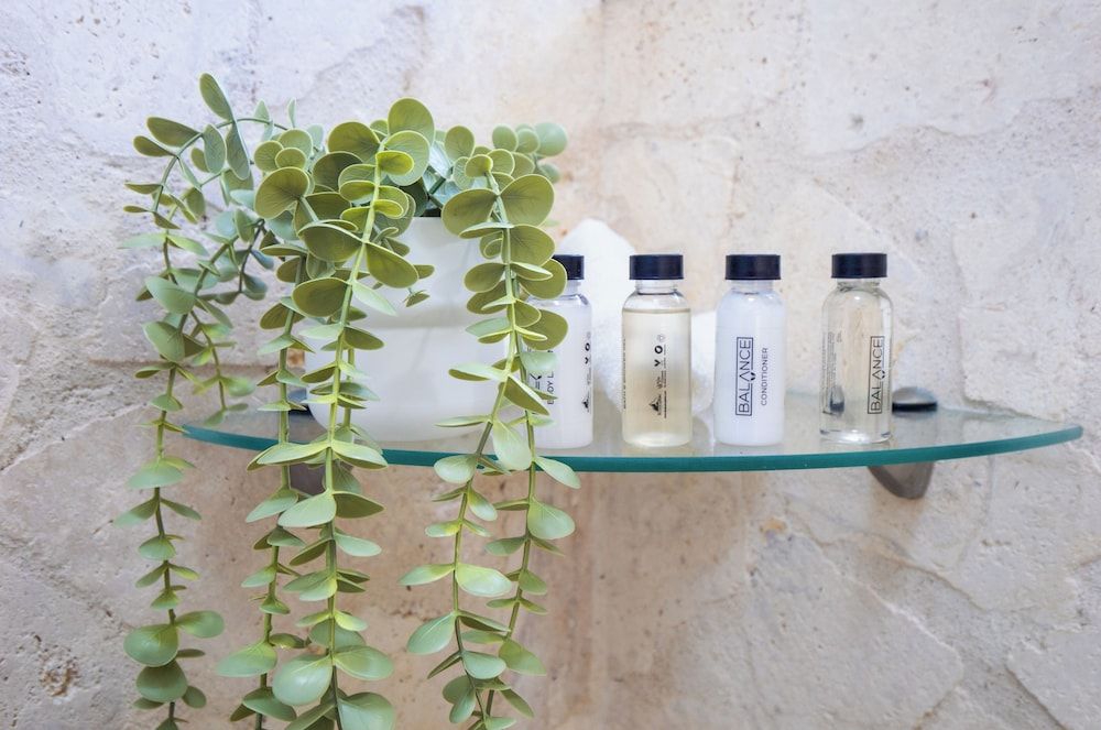 Garden by the Sea Room, 1 Queen Bed with Sofa bed, Poolside 6