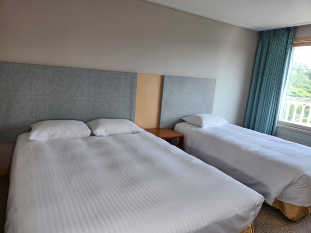 undefined AVA Hotel Jeju Hamdeok 3