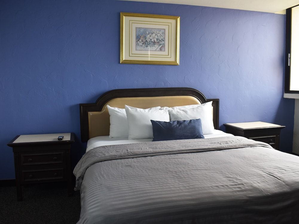 Hotel Corona Plaza Junior Suite 6