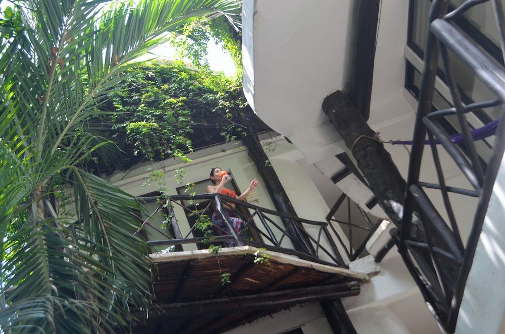 undefined Siesta Fiesta Hotel 3