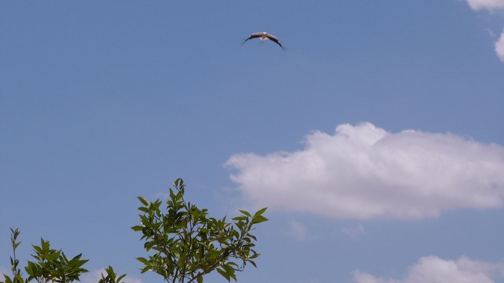 undefined Riad Al Ksar & Spa 7