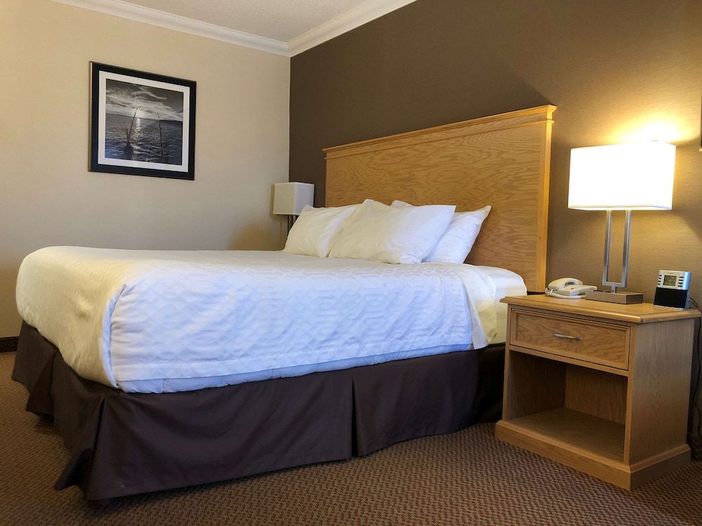 Best Western Plus Cobourg Inn & Convention Centre Standard Room, 1 King Bed, Non Smoking 3