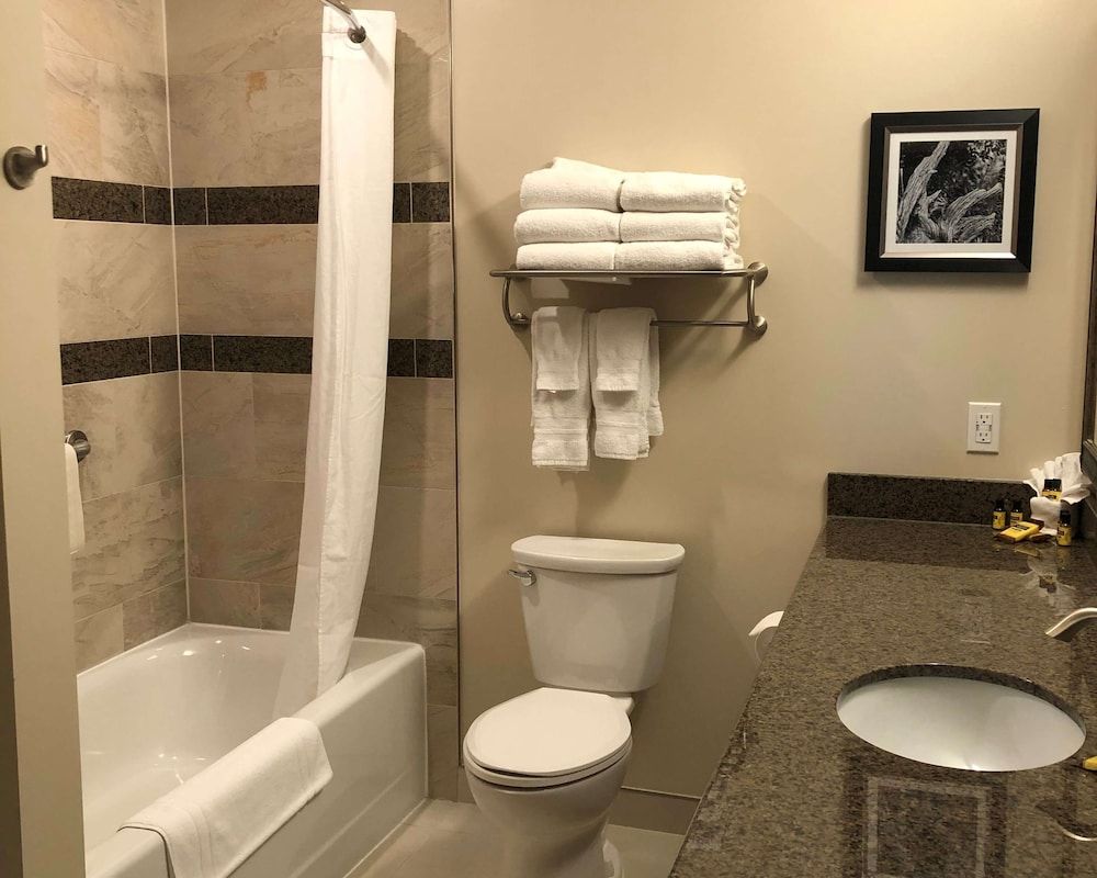 Best Western Plus Cobourg Inn & Convention Centre Standard Room, 1 King Bed, Non Smoking 5