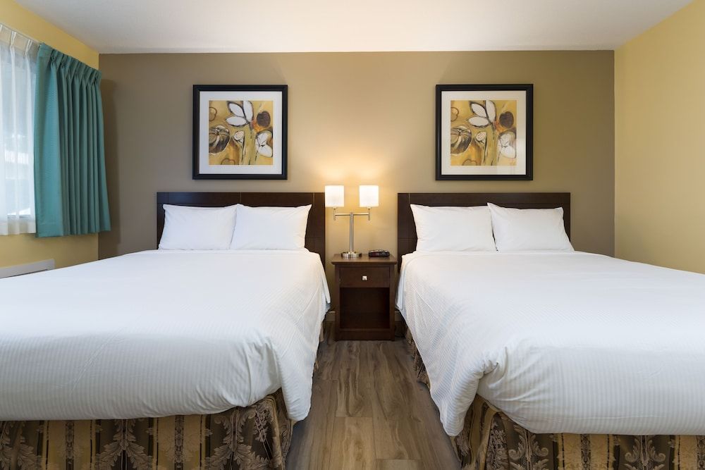 Siesta Suites Studio, 2 Queen Beds, Kitchenette 5