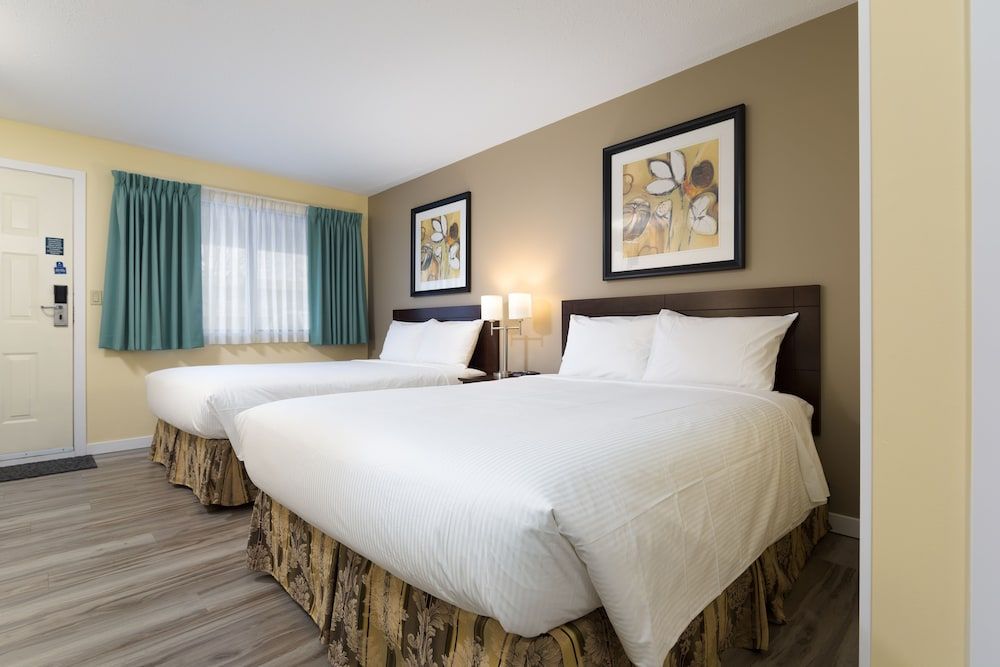 Siesta Suites Studio, 2 Queen Beds, Kitchenette 3