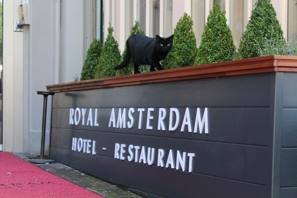 undefined Royal Amsterdam Hotel 10