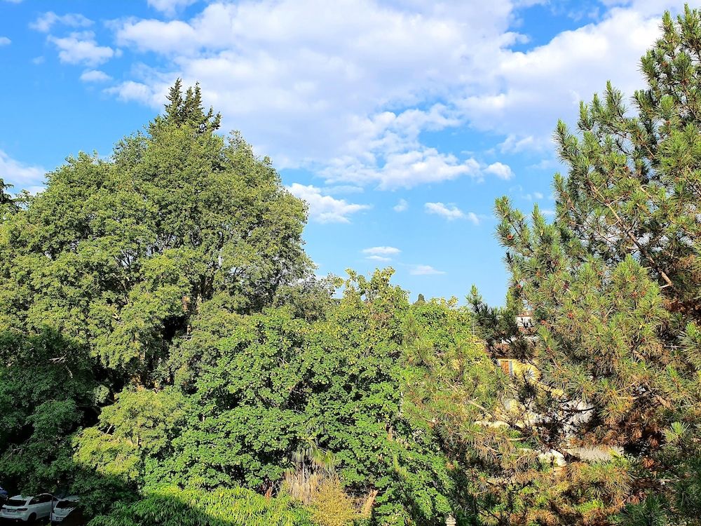 Hotel Annalena Superior Double Room, Garden View 12