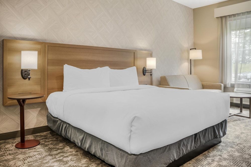 Standard Room, 1 King Bed, Non Smoking, Refrigerator & Microwave (with Sofabed)
