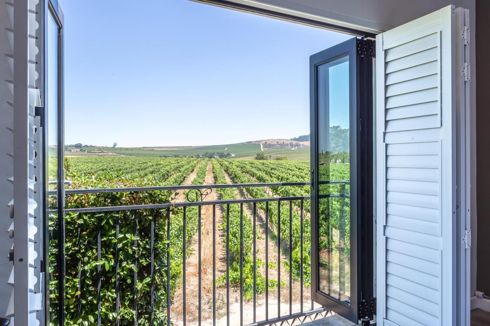 Vineyard Room