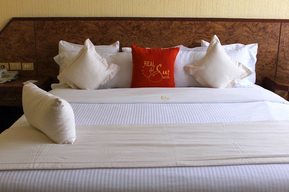 undefined Hotel Real del Sur 8