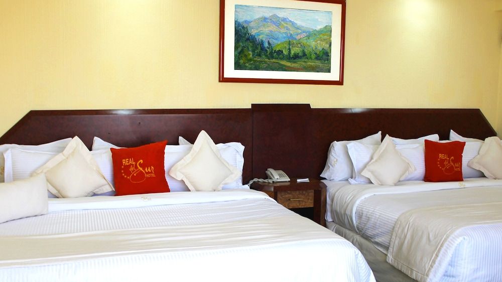 undefined Hotel Real del Sur 9