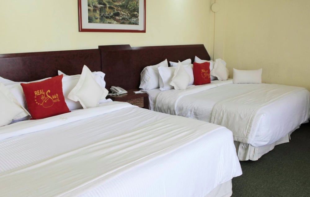 undefined Hotel Real del Sur 4