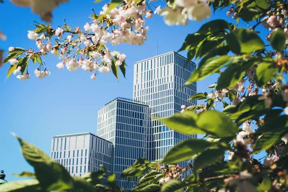 undefined Clarion Hotel Malmö Live 8