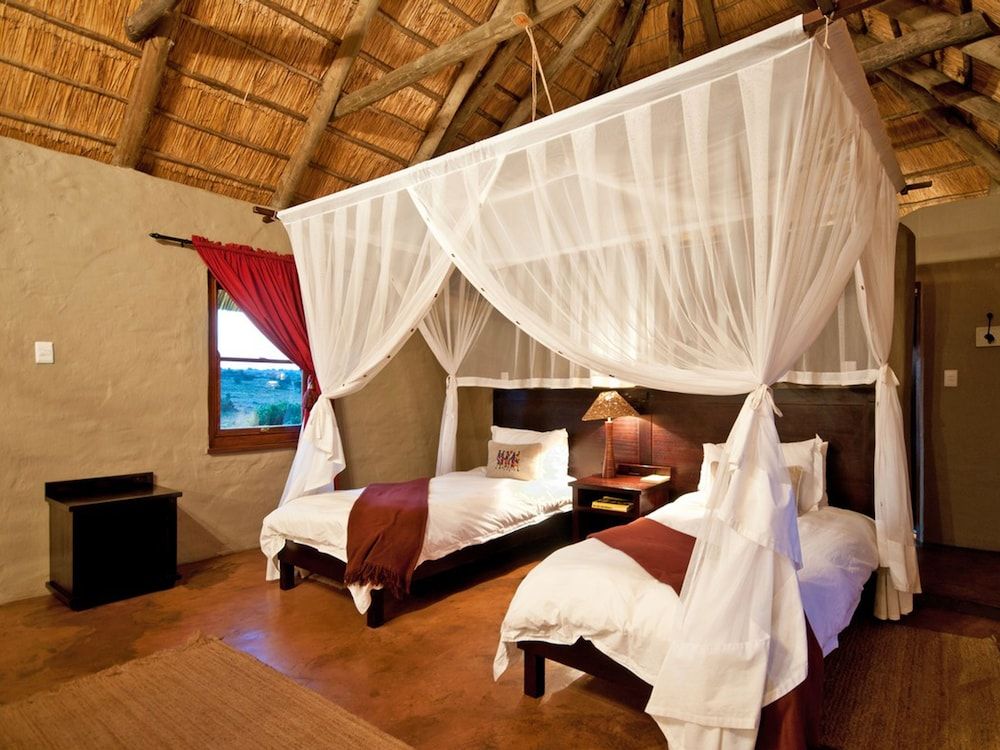 Hlosi Game Lodge - Amakhala Game Reserve Luxury King / Twin Suite 9
