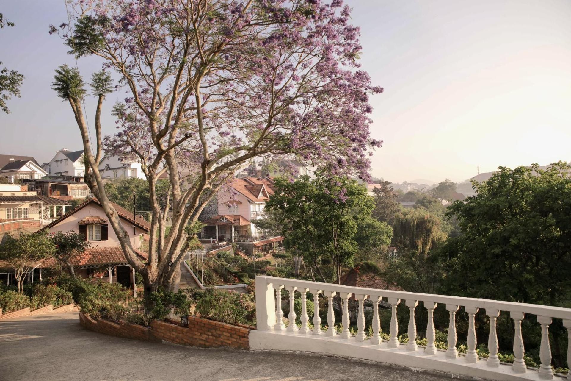 undefined Dalat Terrasse Des Roses Villa 3