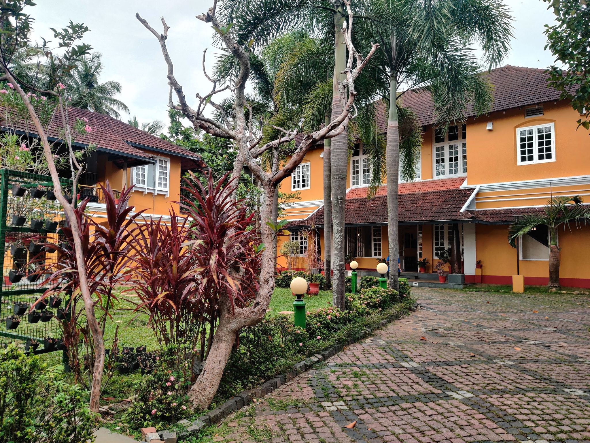 undefined Tea Bungalow 9
