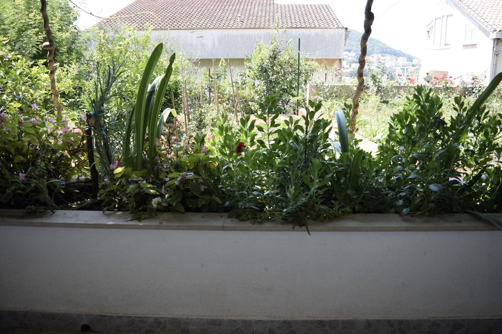 undefined Jele Rooms 5