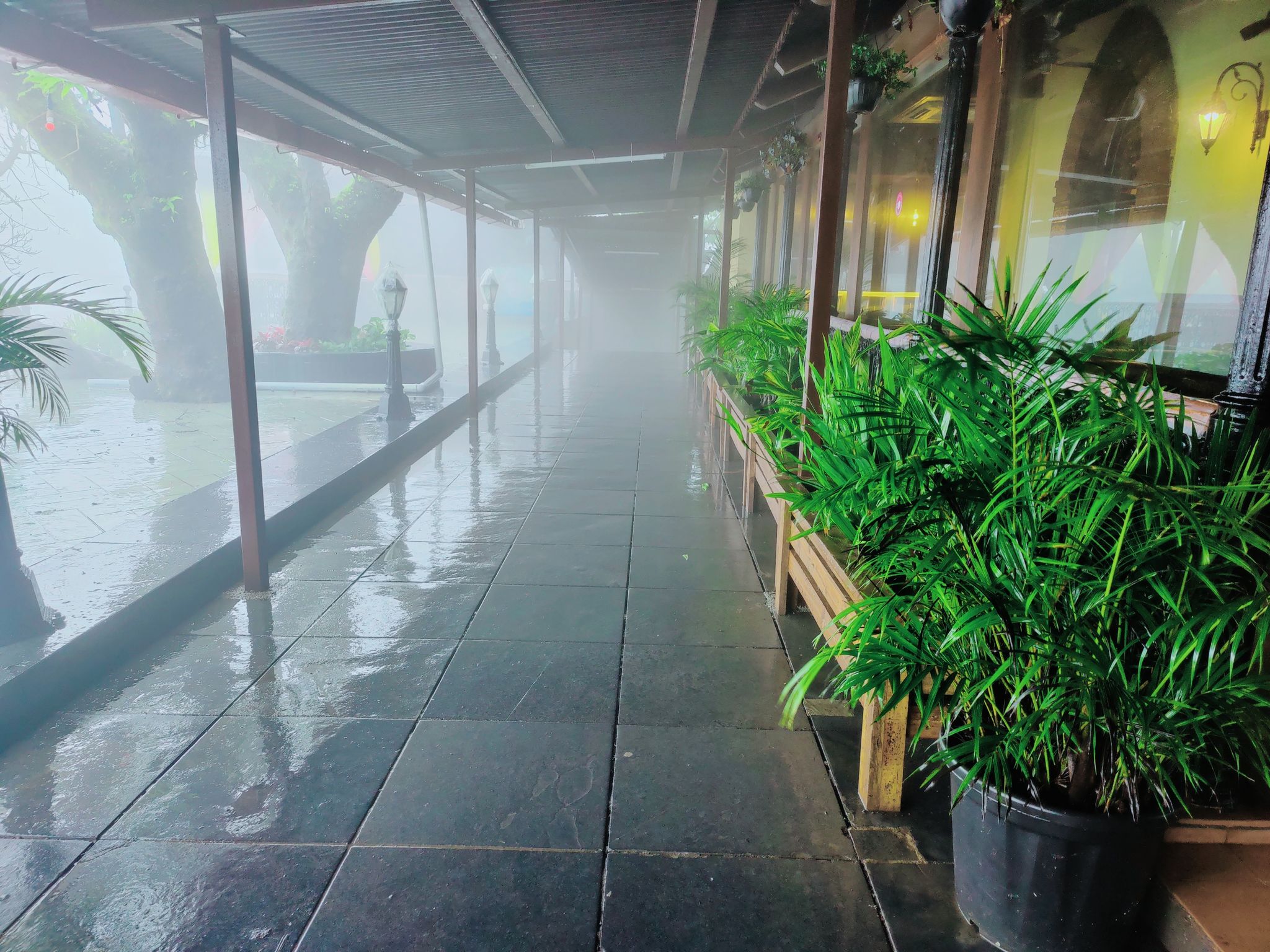 undefined Regenta MPG Club Mahabaleshwar 4