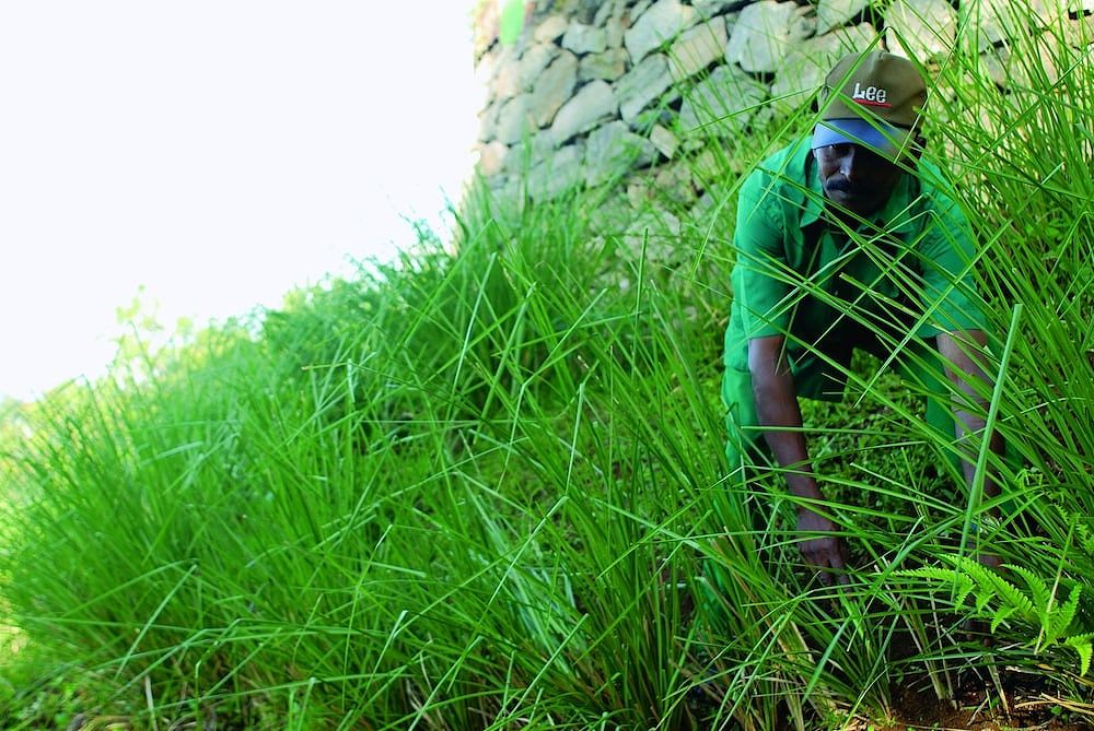 undefined Blackberry Hills Munnar Nature Resort & Spa 9