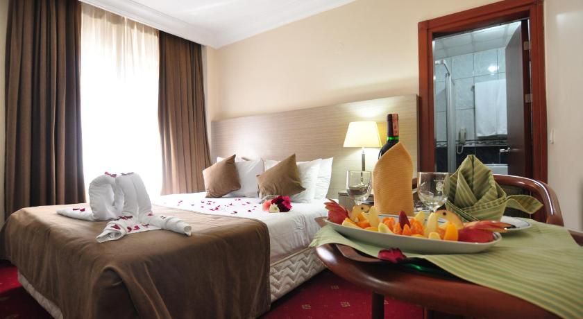 Hotel Büyük Şahinler Standard Room 11