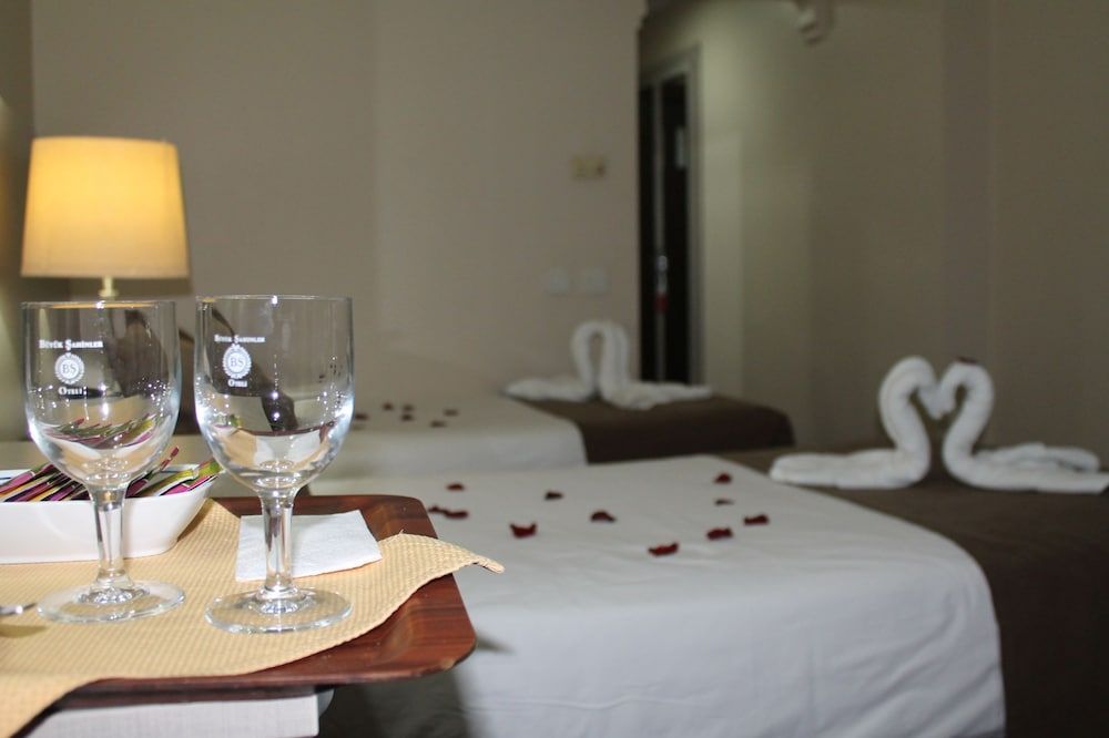 Hotel Büyük Şahinler Standard Room 12