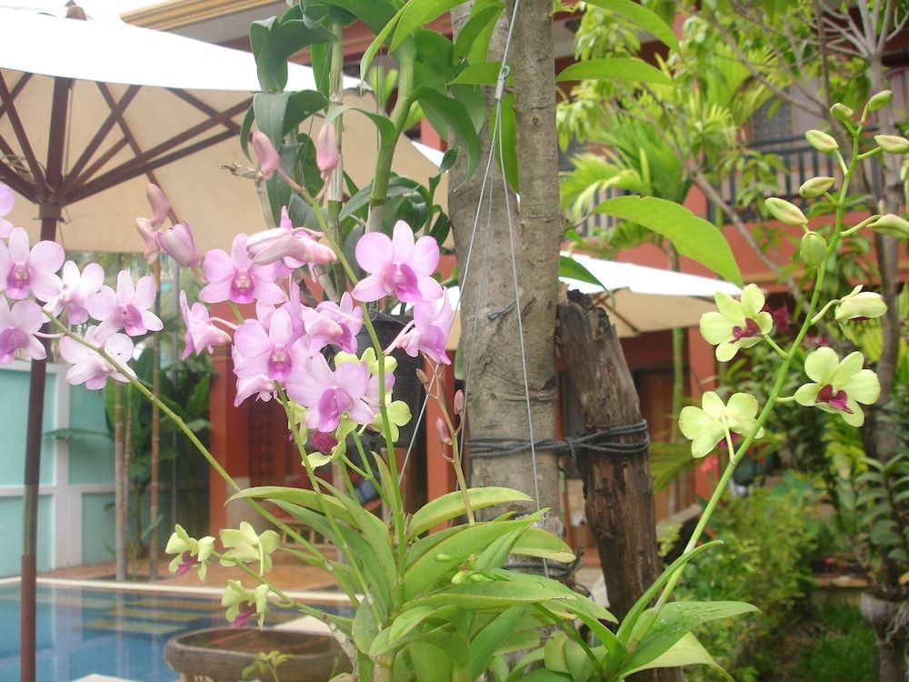 undefined Jasmine Lodge 2