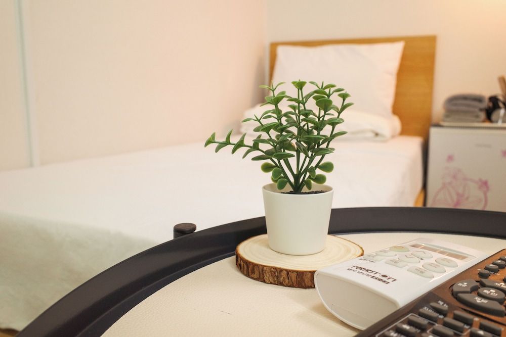 Starria Hostel Foreign Guest Only Twin Room, No Windows (non-Korean nationals only) 5