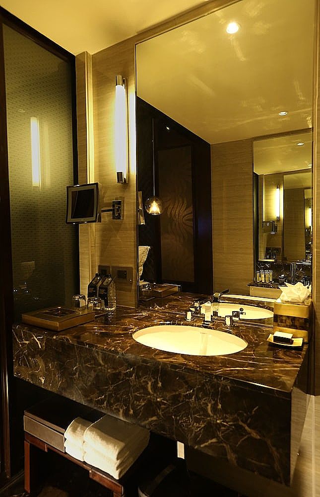 Pullman New Delhi Aerocity Hotel Deluxe Twin Room, 2 Twin Beds 17