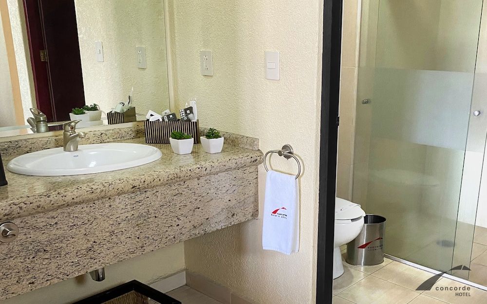 Hotel Concorde Toluca Standard Room, 1 King Bed 2