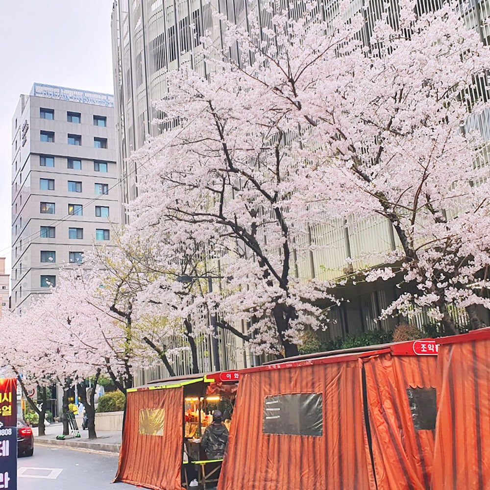 undefined Busan Business Hotel 10