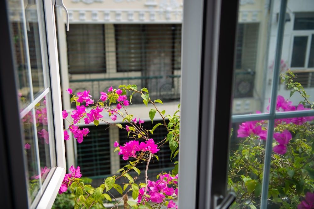 undefined La Siesta Classic Ma May 4