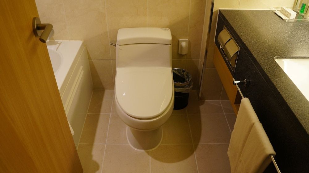 The Summit Hotel Seoul Dongdaemun Standard Twin Room, Bathtub 4