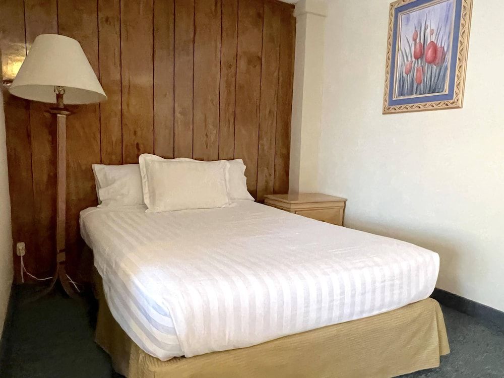 Biohotel Metepec Superior Studio Suite 6