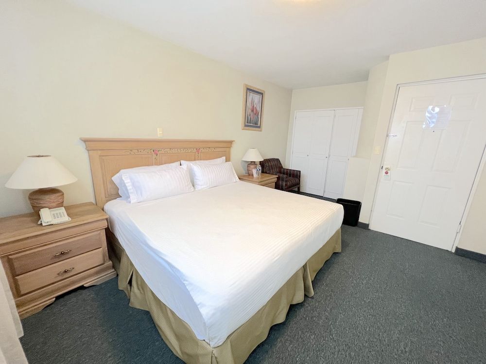 Biohotel Metepec Junior Suite 4