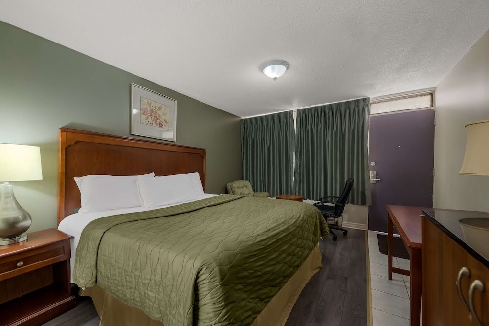 Room, 1 King Bed