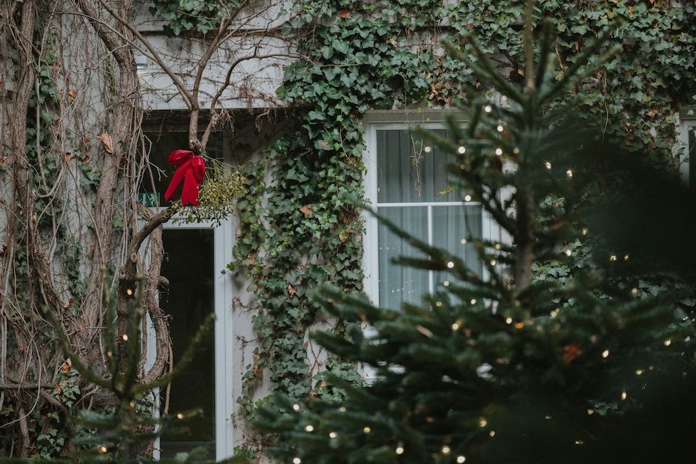 undefined Boutiquehotel Stadthalle 7