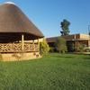 African Roots Entebbe