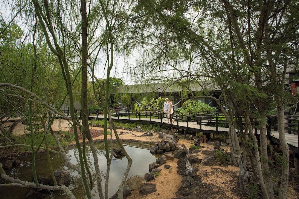 Finch Bay Galapagos Hotel Standard Double Room 3