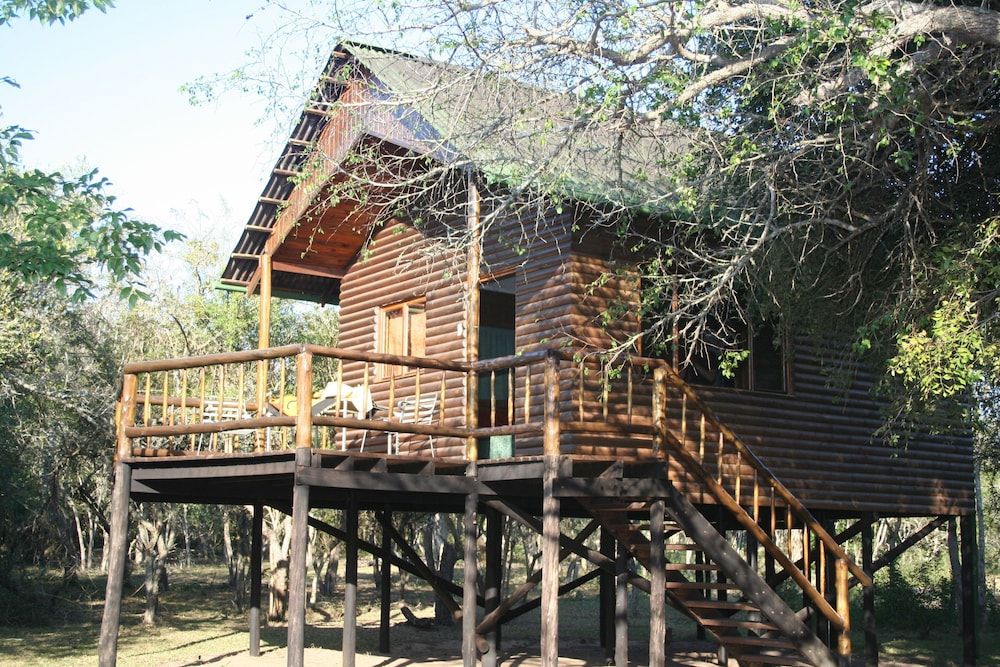 Panoramic Tree House, 1 Bedroom, Kitchenette, Park View
