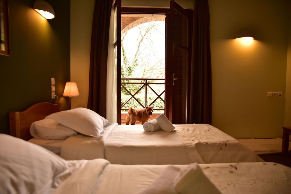 Mont Helmos Hotel Superior Double Room, Mountain View 2