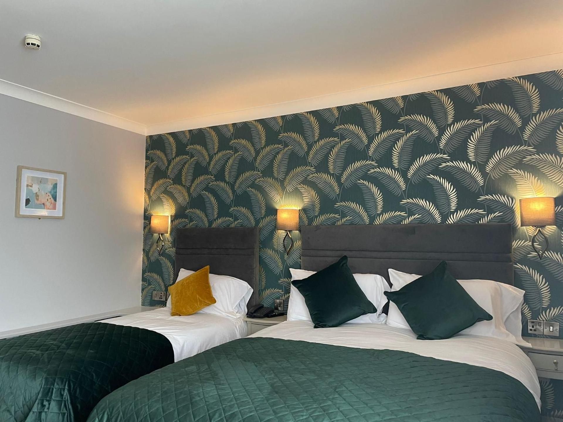 Ardboyne Hotel Single Room 2