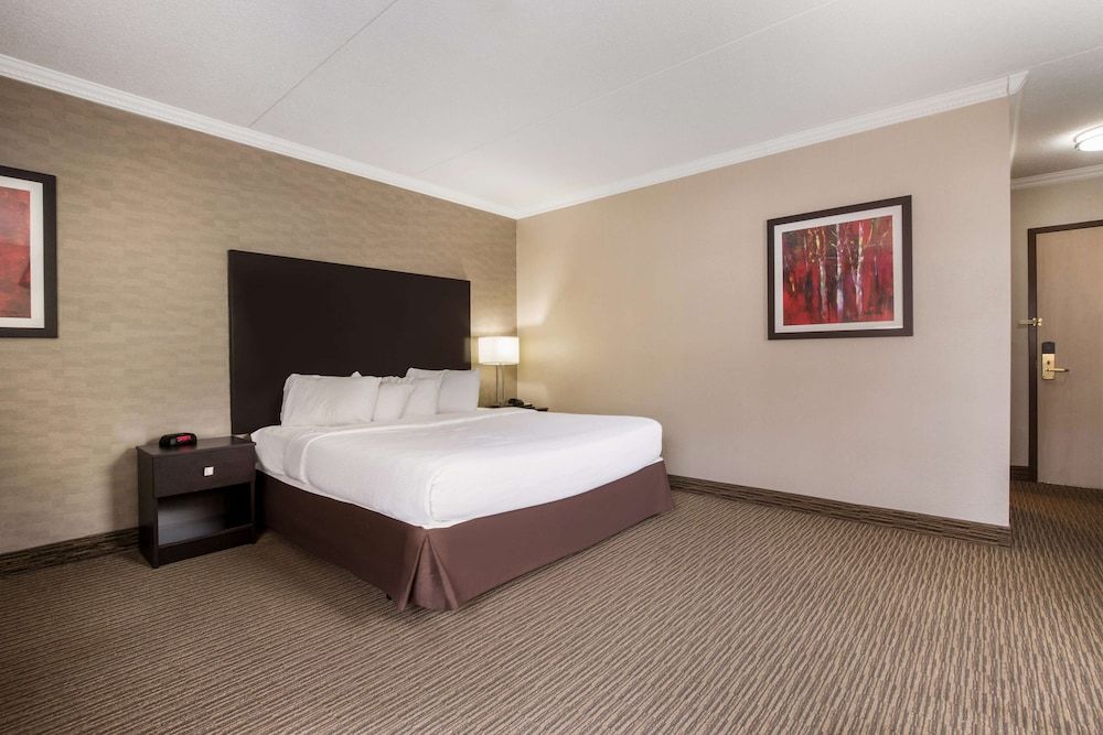 Standard Room, 1 King Bed with Sofa bed, Non Smoking, Jetted Tub (with Sofabed)