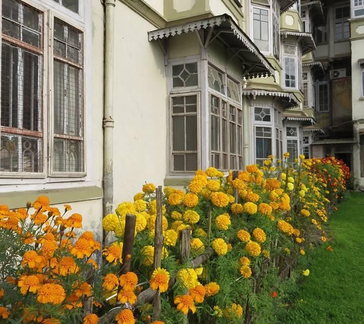 undefined Pineridge Hotel 3